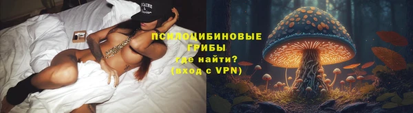 МДПВ Алзамай