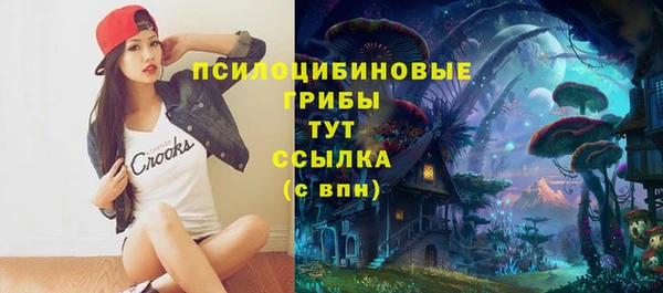 МДПВ Алзамай
