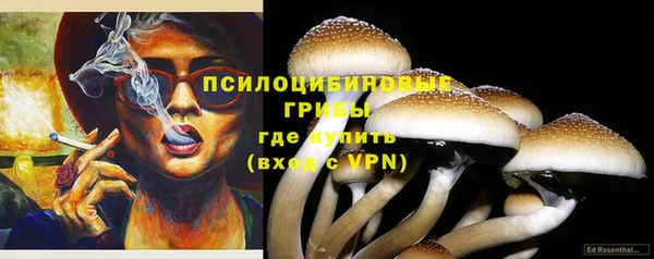mdma Пролетарск