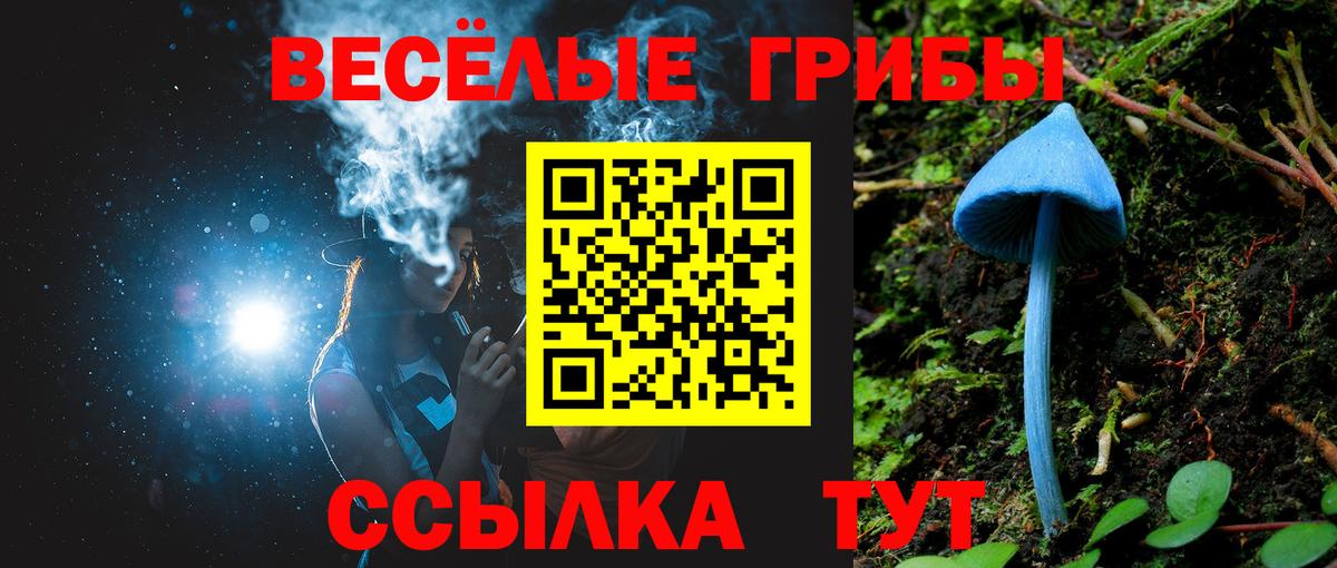 Елабуга  Галлюциногенные грибы прущие грибы  Вход с VPN 