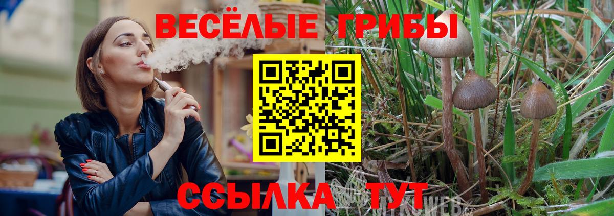 Псилоцибиновые грибы ЛСД Елабуга